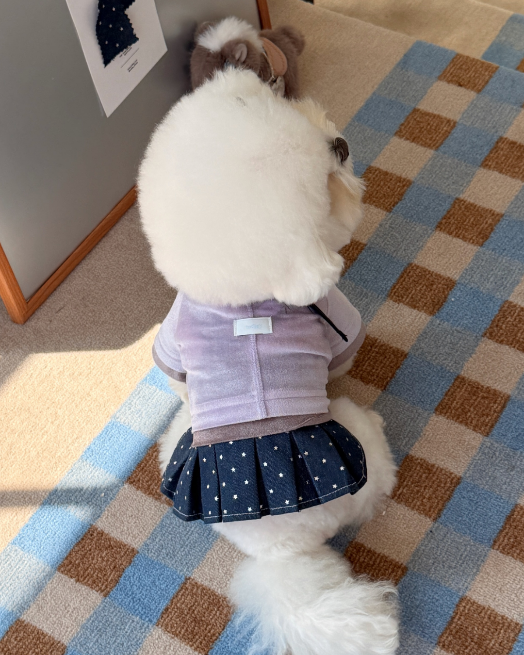 Étoile Denim Skirt