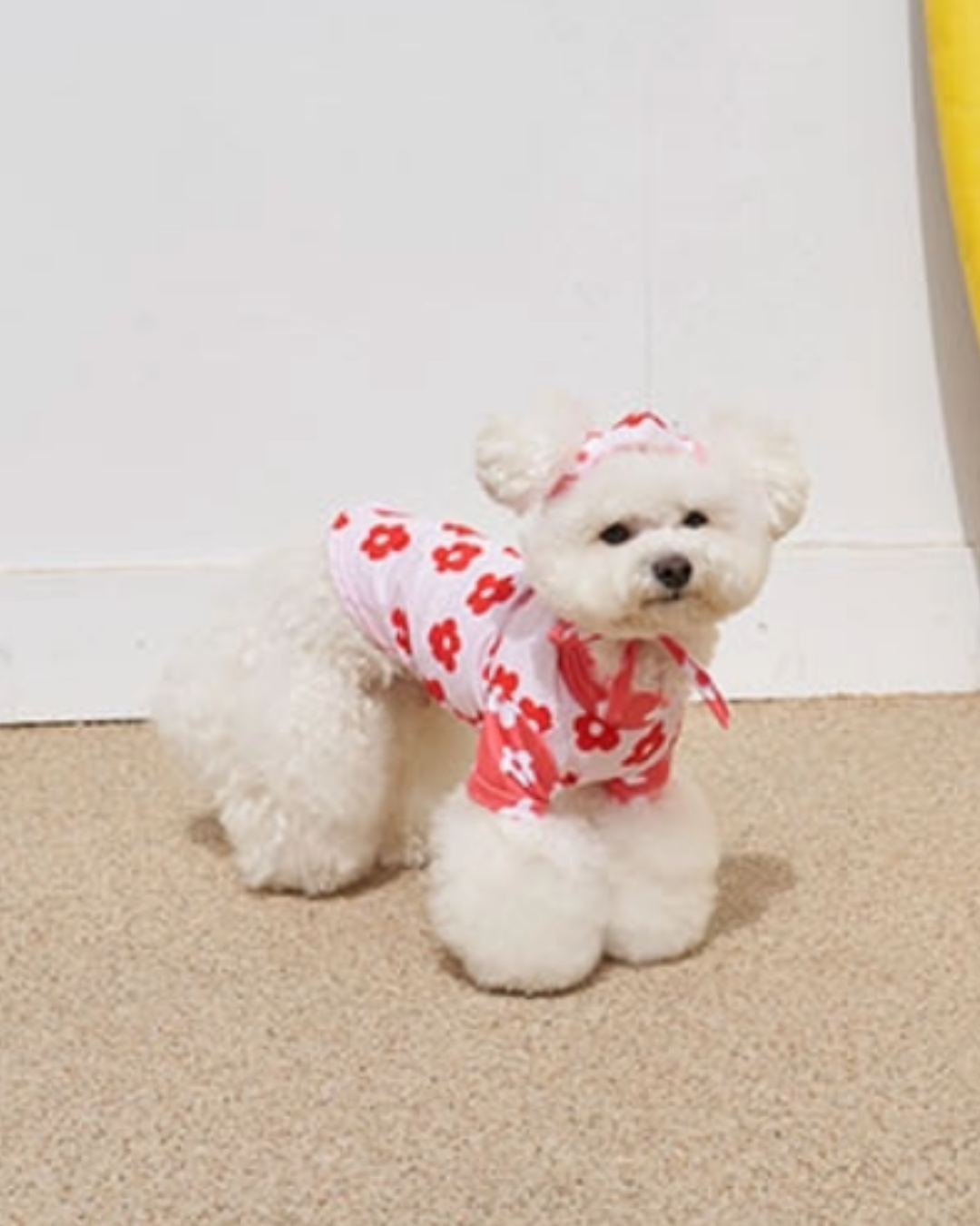 Flower Rash Guard