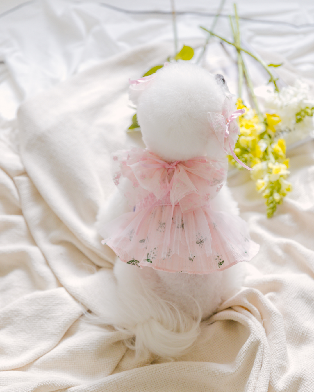 Tinkerbell Dress