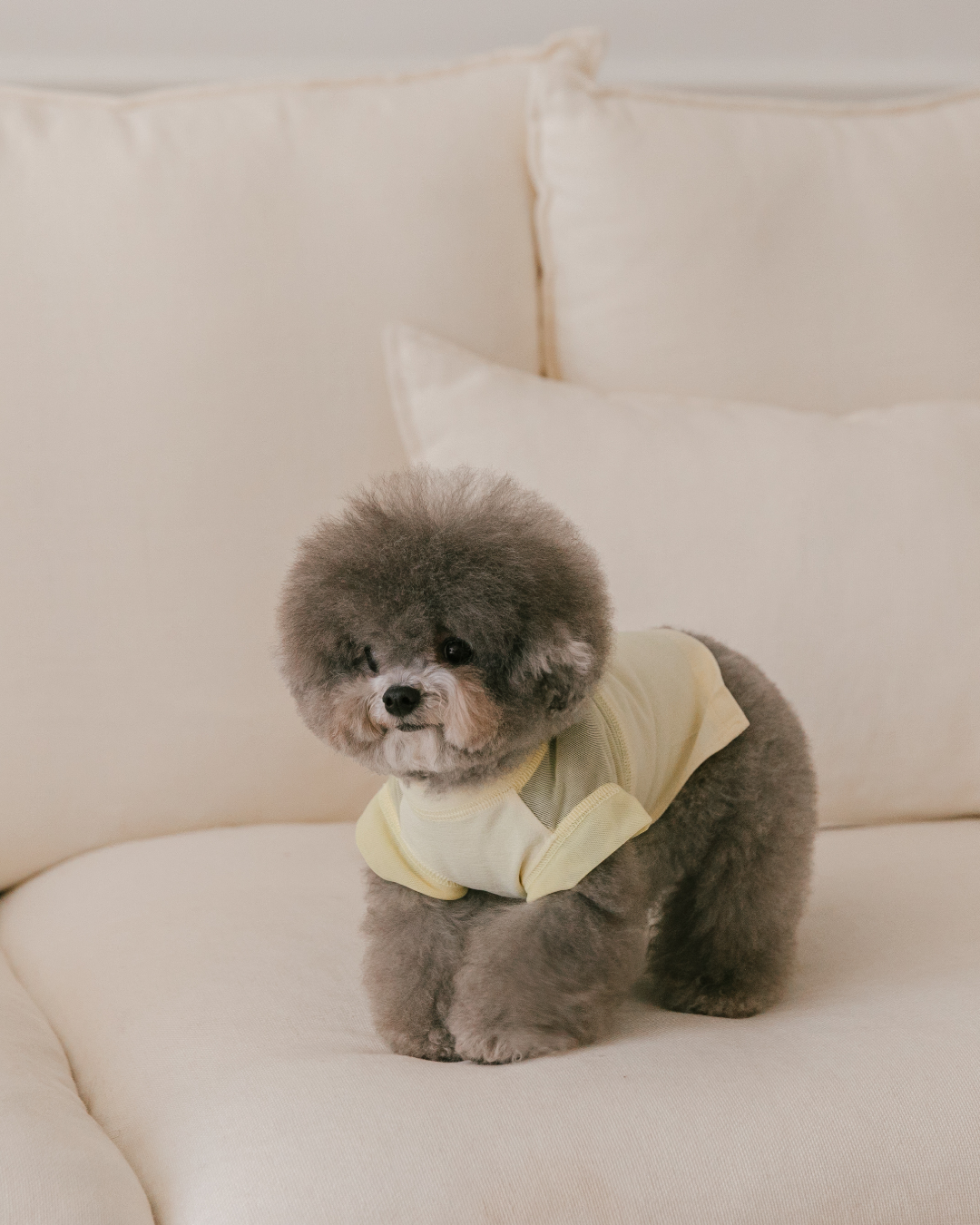 Gelato Cool Top