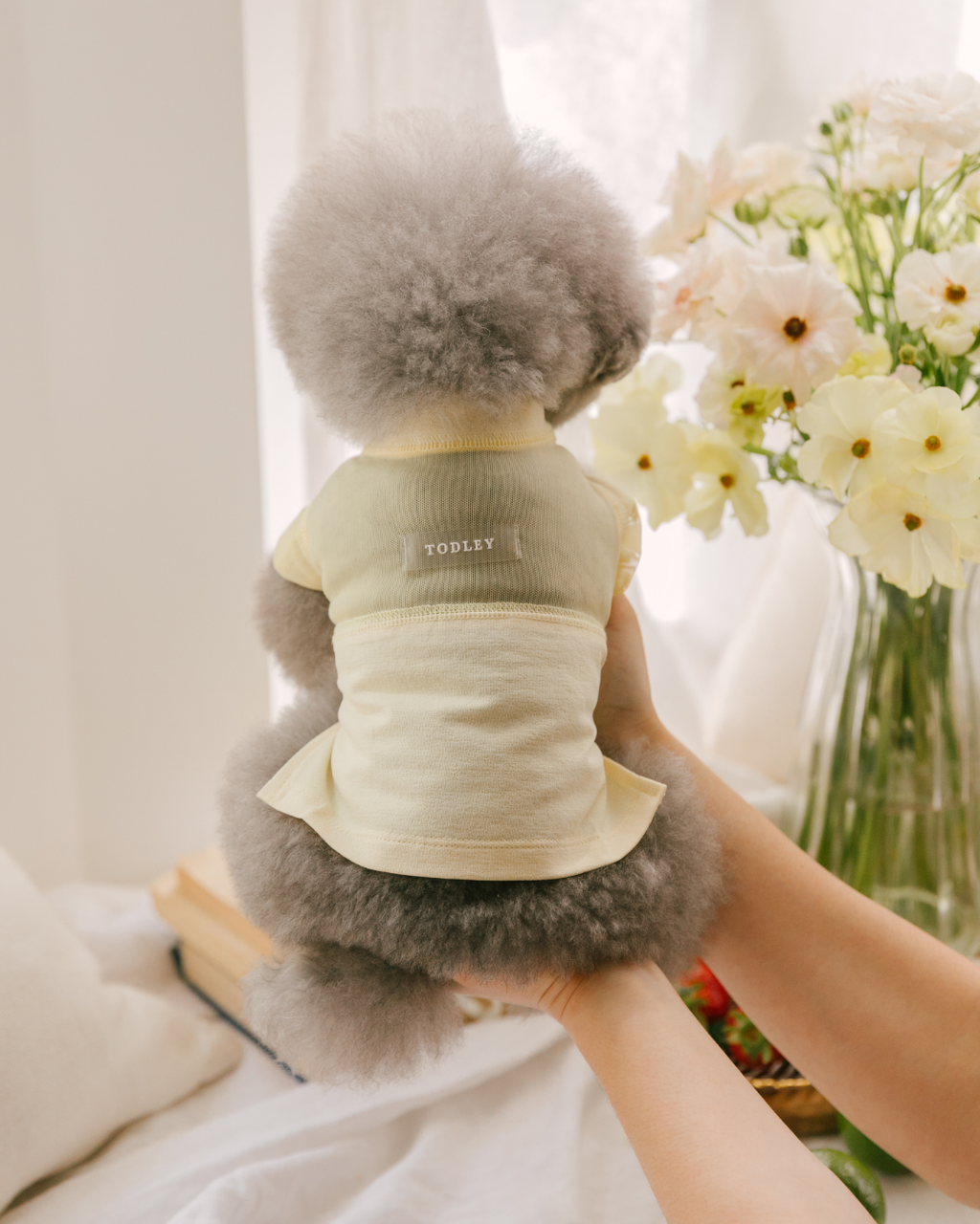 Gelato Cool Top