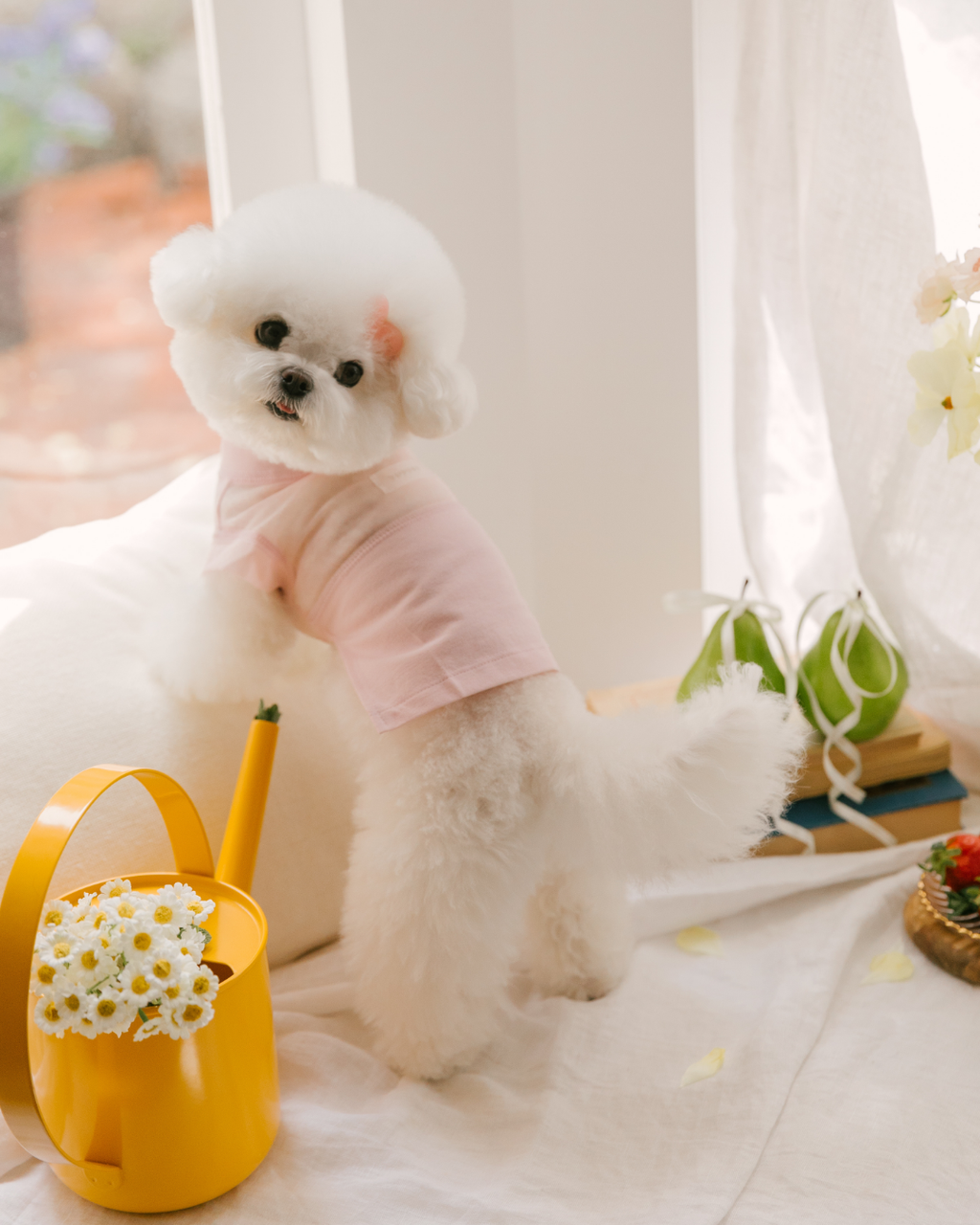 Gelato Cool Top