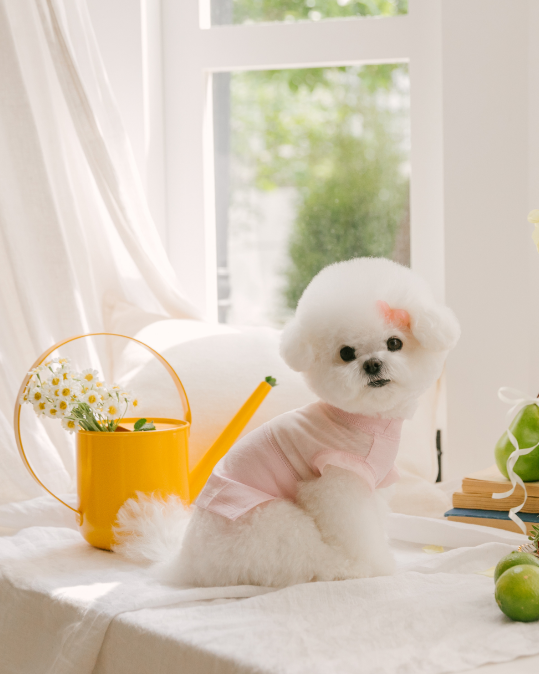 Gelato Cool Top