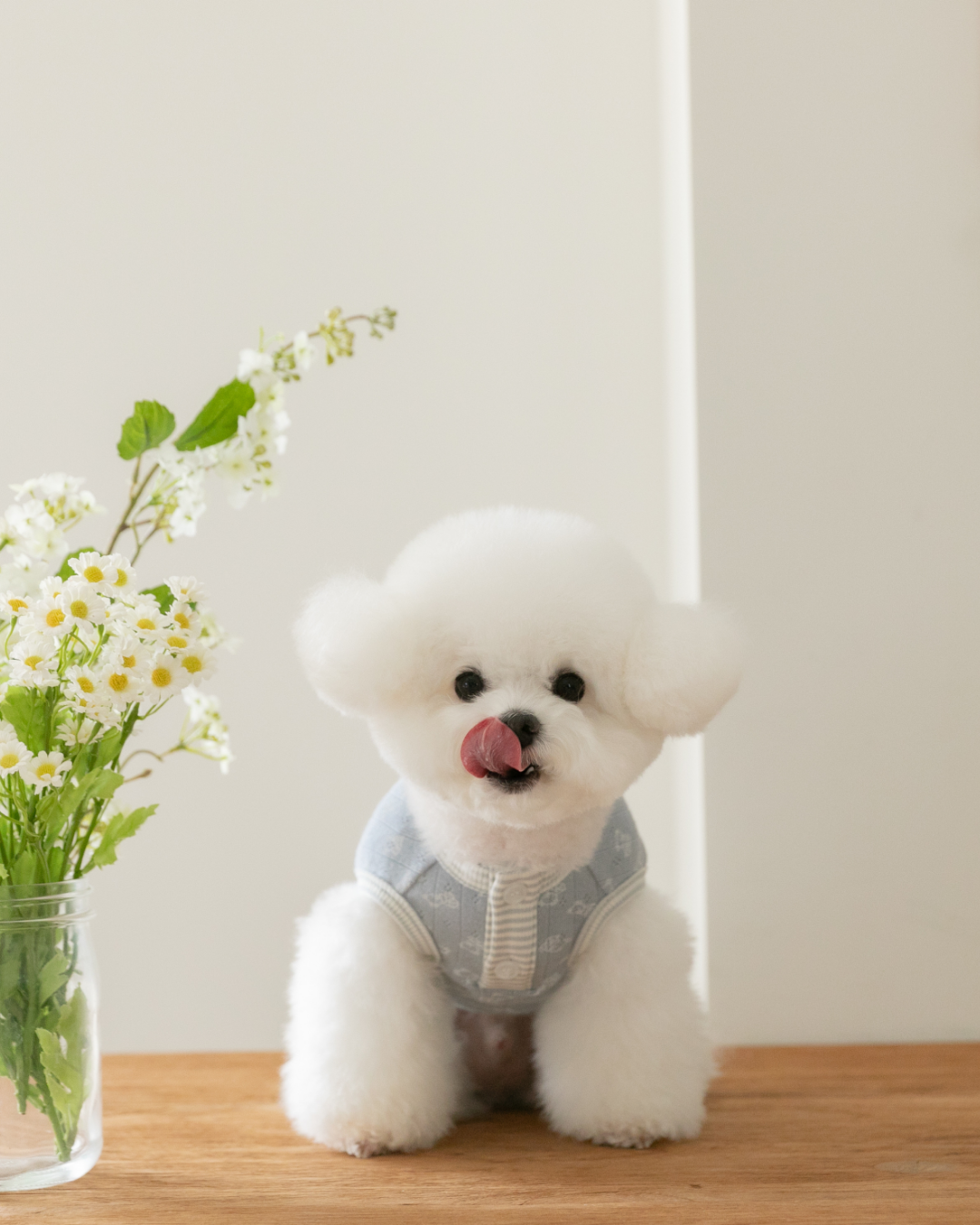 Petite Bear Sleeveless Tee