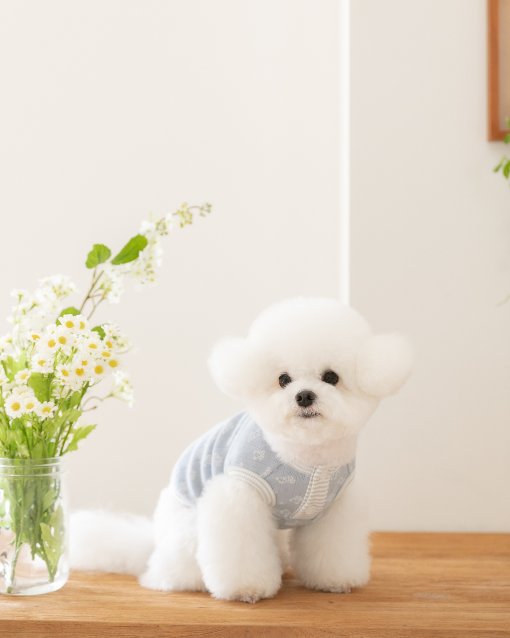 Petite Bear Sleeveless Tee
