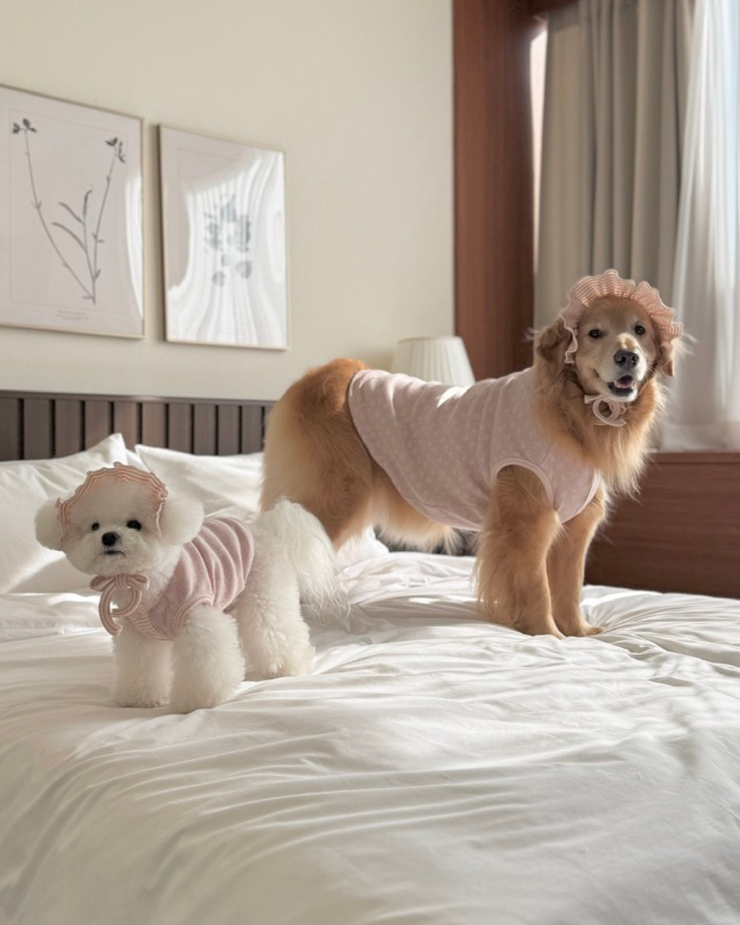 Petite Bear Sleeveless Tee
