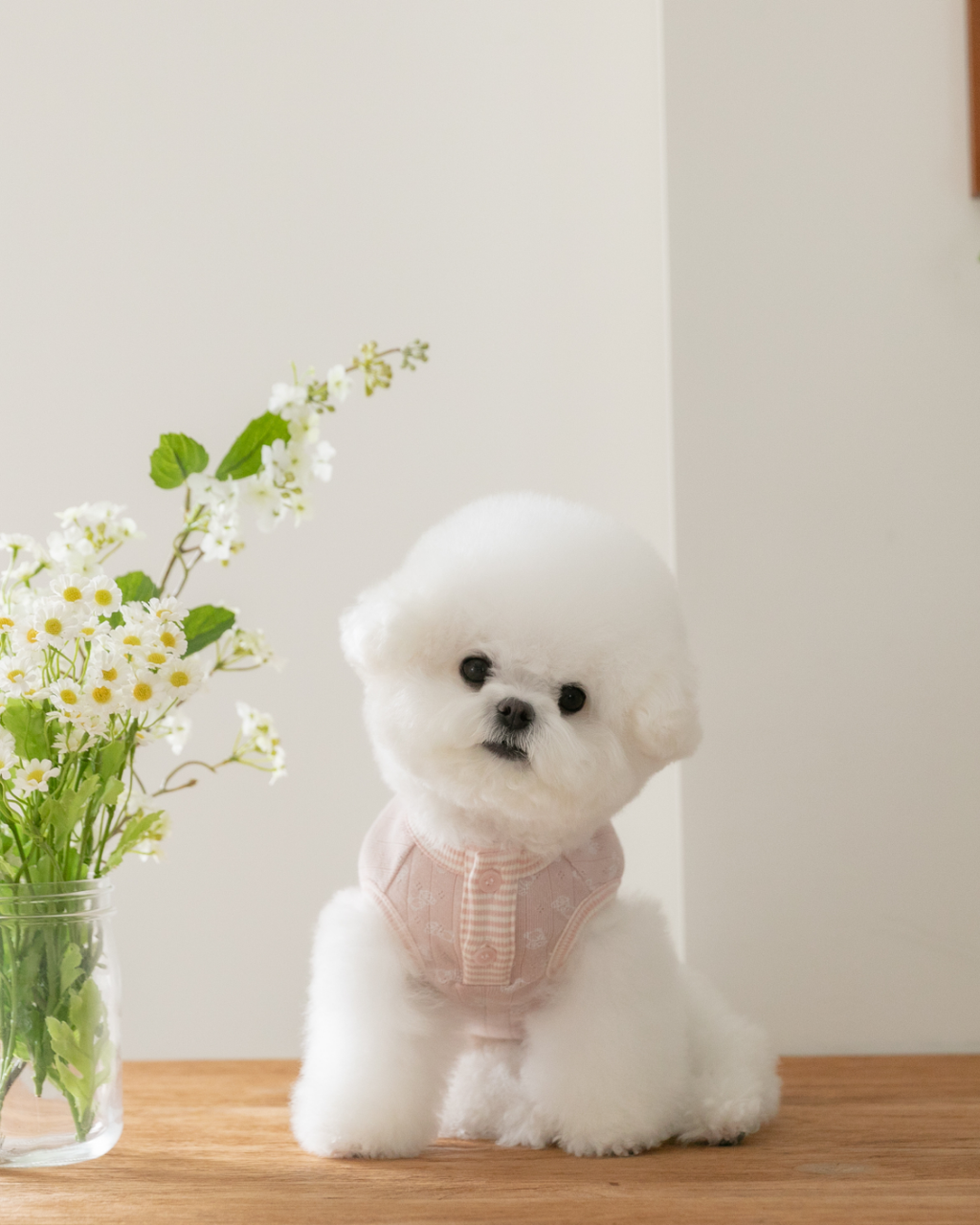 Petite Bear Sleeveless Tee