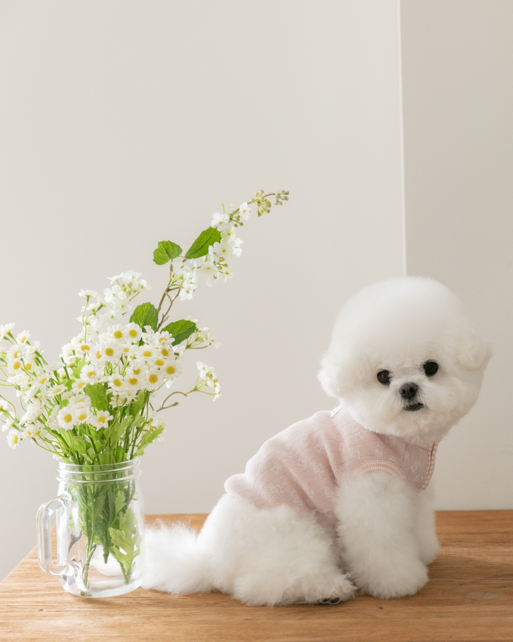 Petite Bear Sleeveless Tee