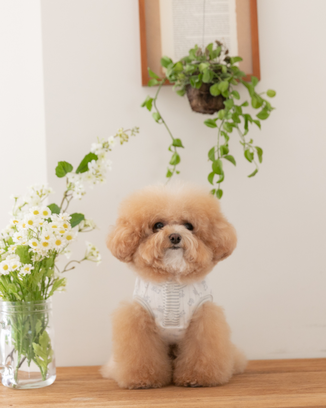Petite Bear Sleeveless Tee