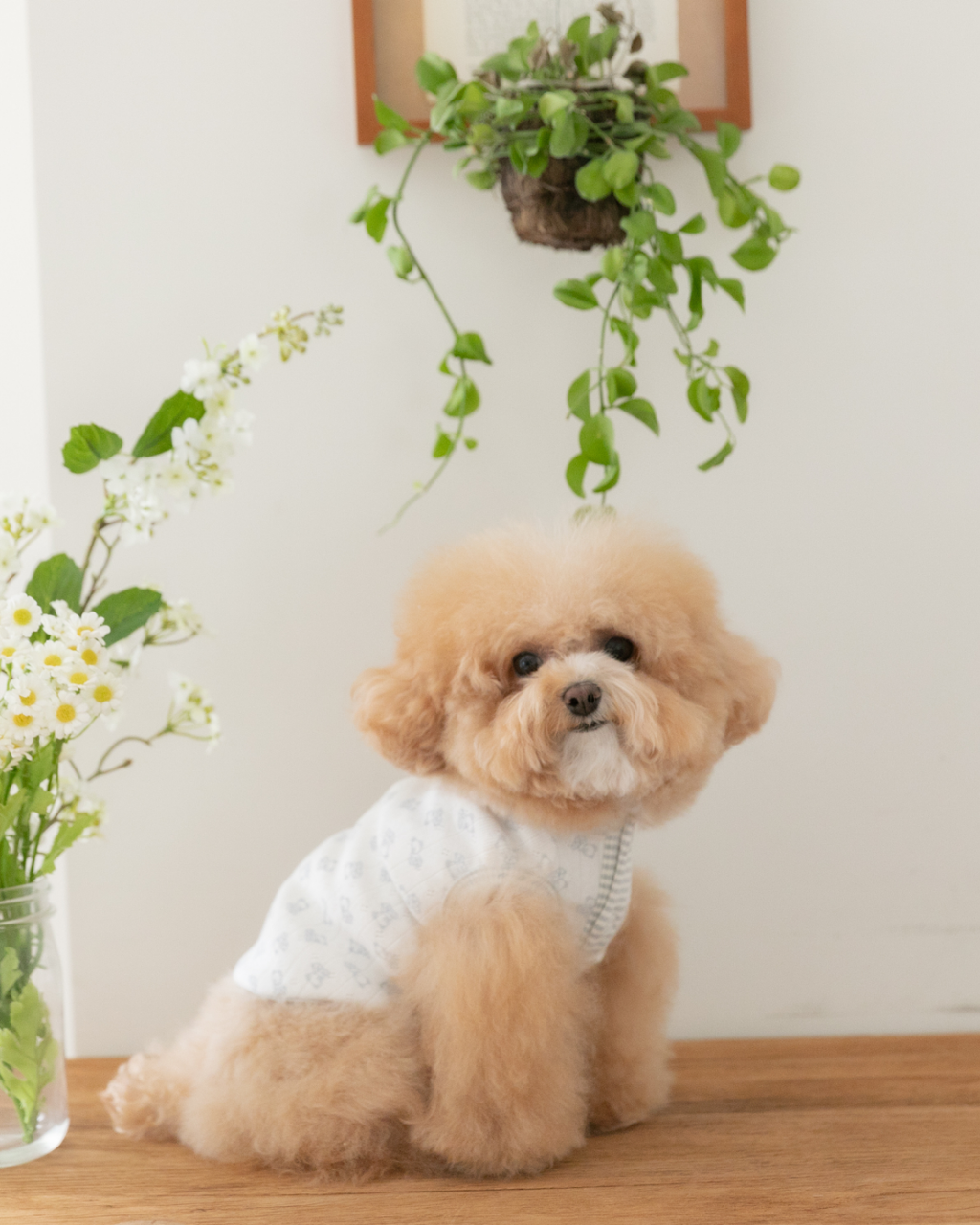 Petite Bear Sleeveless Tee