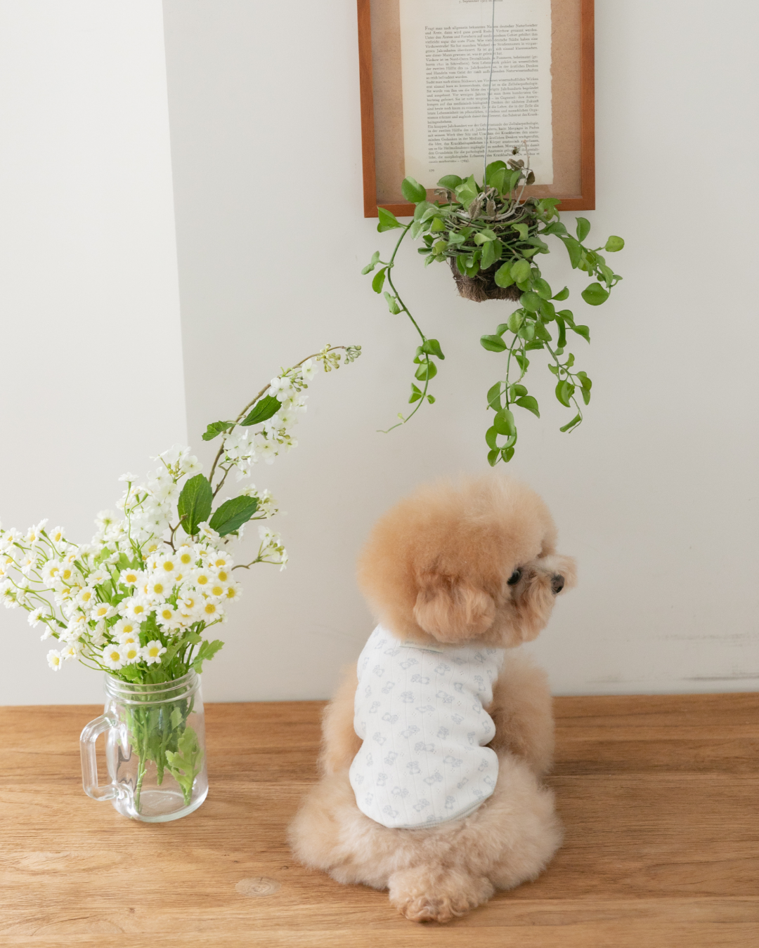 Petite Bear Sleeveless Tee