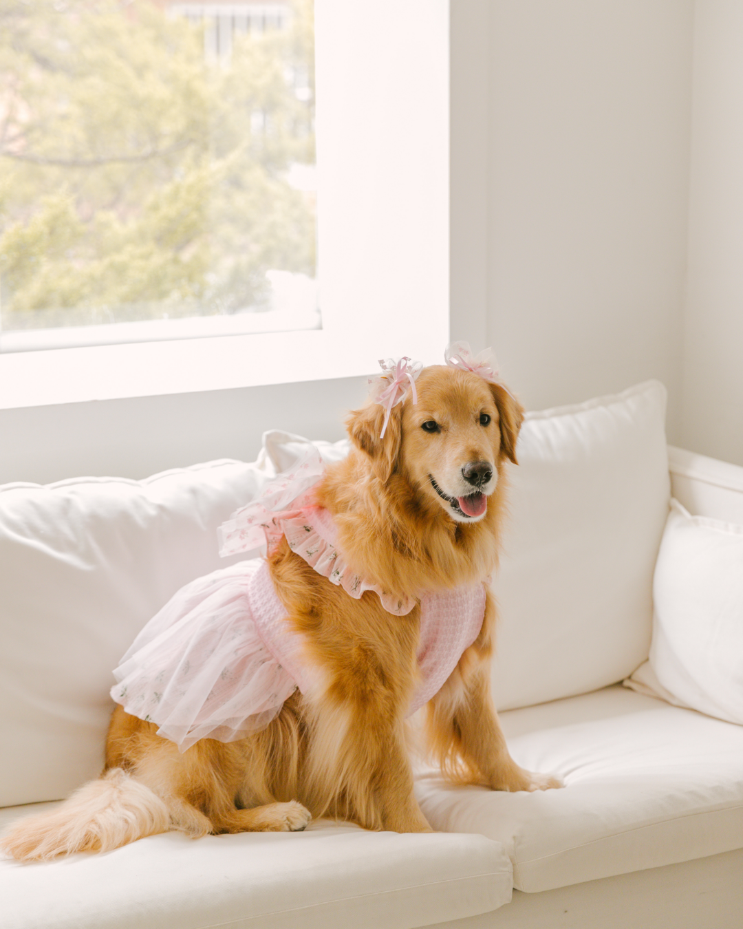Tinkerbell Dress