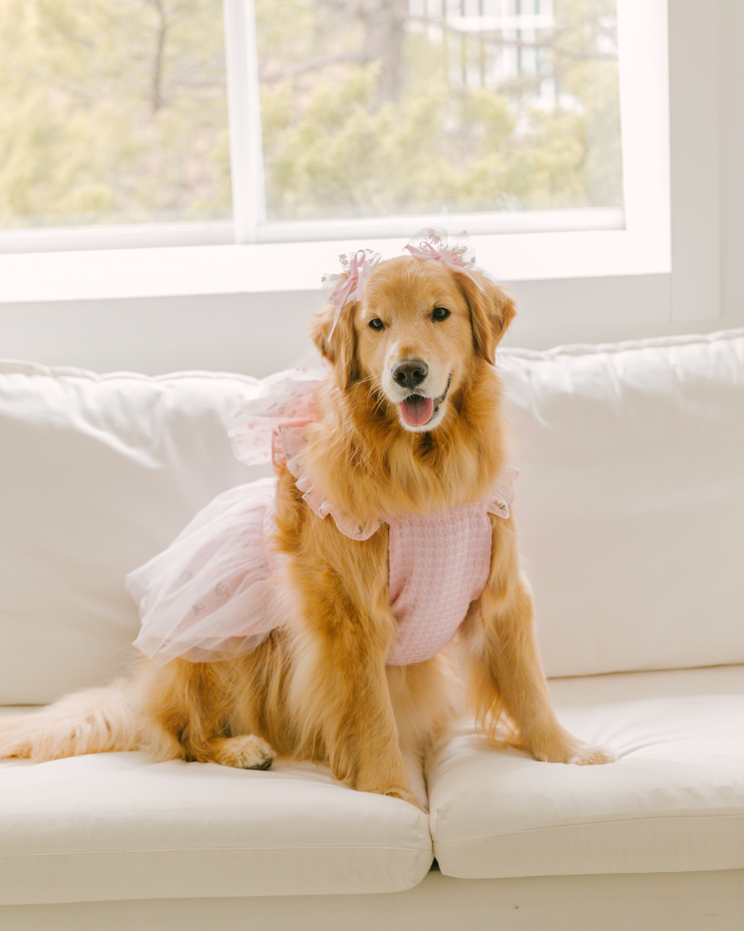 Tinkerbell Dress