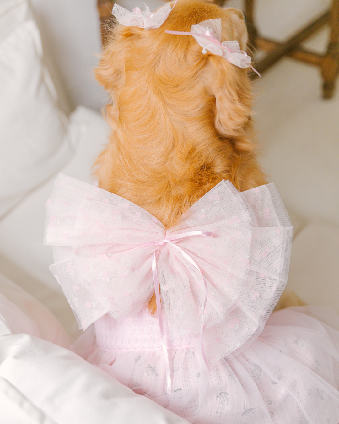 Tinkerbell Dress