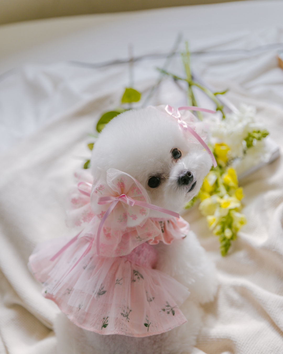 Tinkerbell Dress